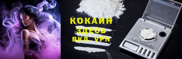 прущие крисы Балахна