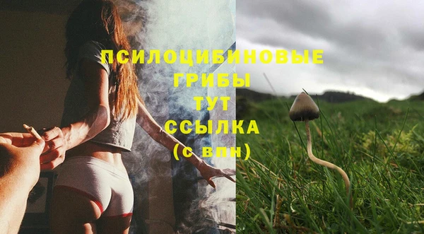 стаф Балабаново