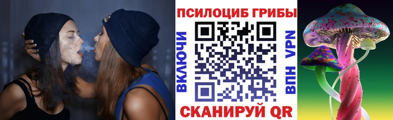 как найти закладки  Весьегонск  Псилоцибиновые грибы мицелий 